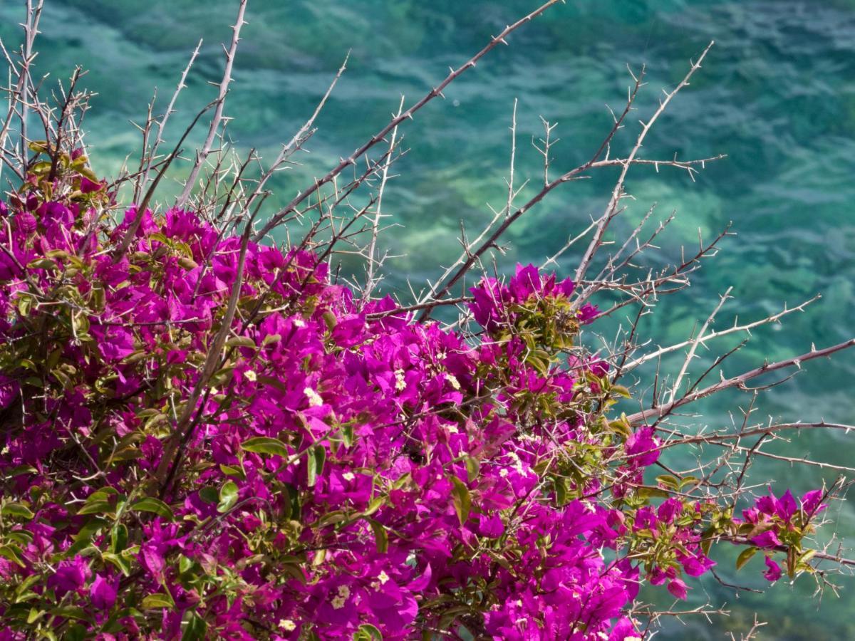 Refilea Sea View Tower Villa Vernazza Dış mekan fotoğraf